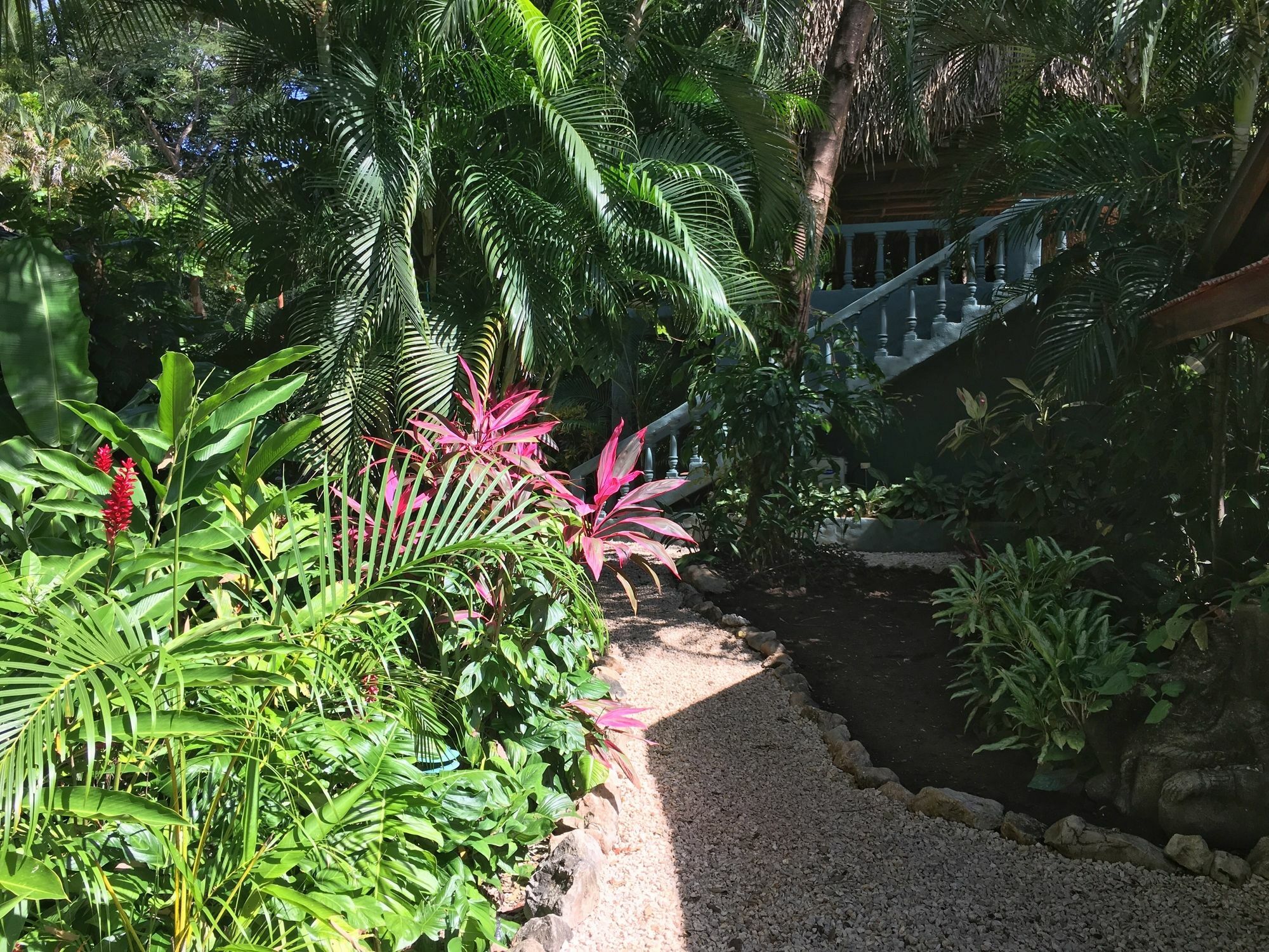 Harbor Reef Hotel ノサラ エクステリア 写真